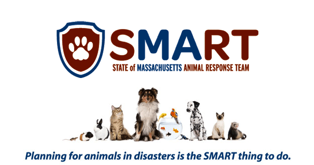 SMART-large-animated